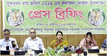 সুন্দরবনে বাঘ বেড়েছে ১১টি, সংখ্যা ১২৫