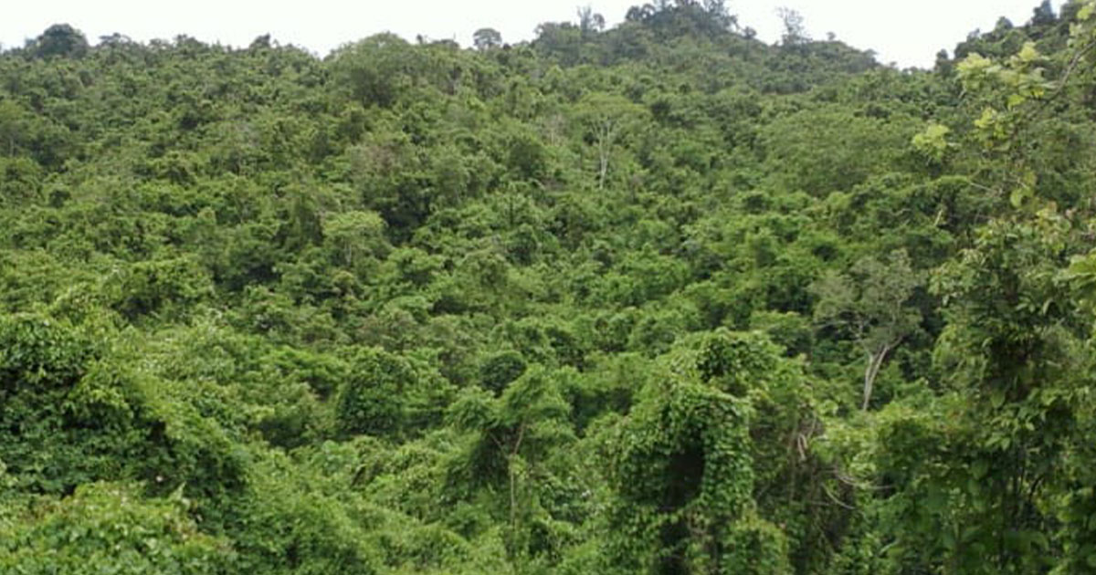 বঙ্গবন্ধু একাডেমি হবে না কক্সবাজারে: বন্দোবস্ত বাতিল