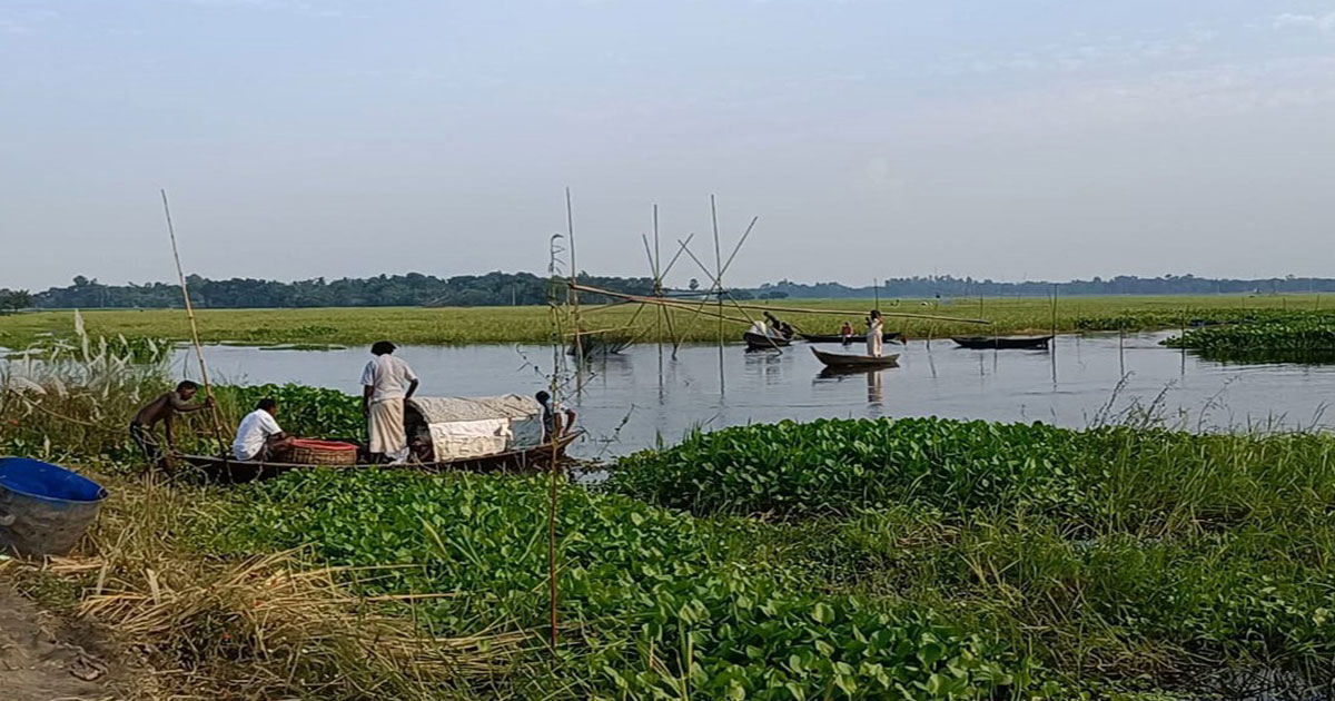 চাটমোহরে জলাশয়ে জোরপূর্বক মাছ ধরার অভিযোগ
