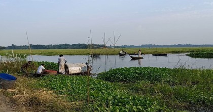 চাটমোহরে জলাশয়ে জোরপূর্বক মাছ ধরার অভিযোগ