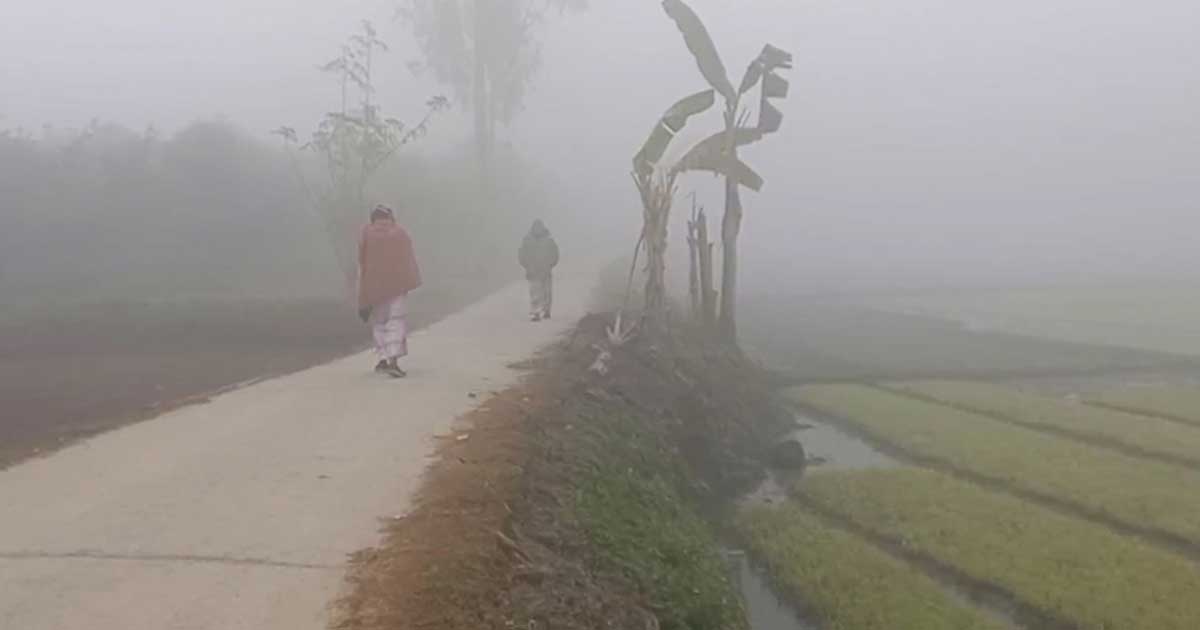 পঞ্চগড়ে তাপমাত্রা নামলো ১২ ডিগ্রিতে