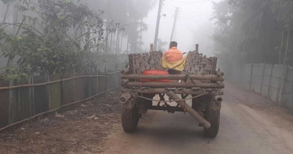 শীতের হিমেল হাওয়ায় কাঁপছে পঞ্চগড়