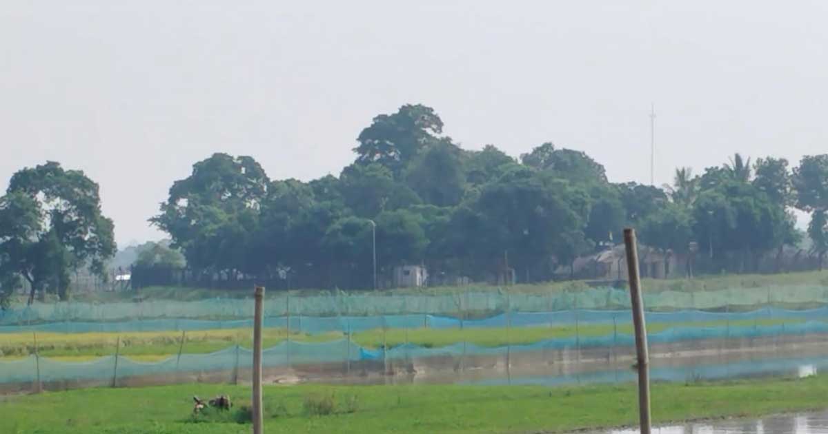 ভারত-বাংলাদেশ উত্তেজনায় সীমান্তে অতিরিক্ত বিজিবি মোতায়েন চান রৌমারীবাসী