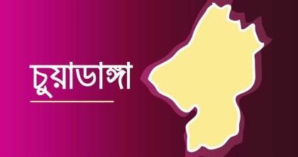 রাসায়নিক সার নিয়ে কারসাজি, চুয়াডাঙ্গায় দুই পরিবেশকের লাইসেন্স বাতিল