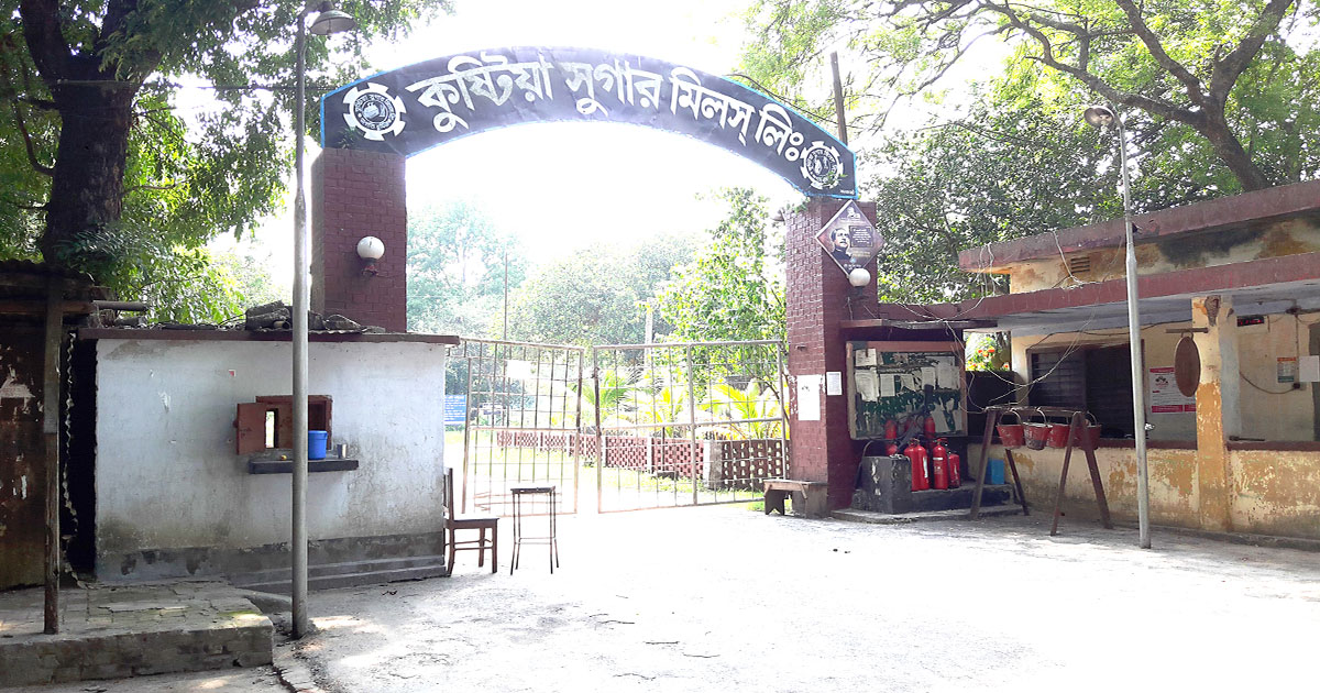বন্ধ চিনিকল চালুর খবরে খুশী কুষ্টিয়ার মানুষ 