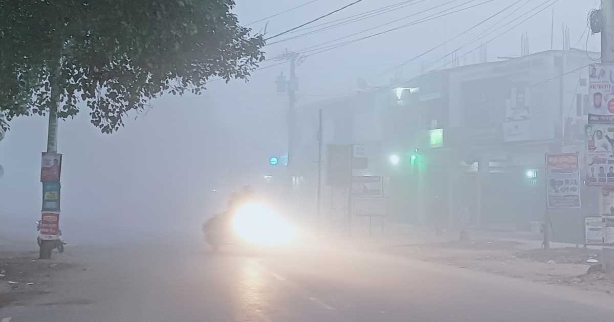 বৃষ্টির মতো কুয়াশা পড়ছে চুয়াডাঙ্গায়