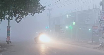 বৃষ্টির মতো কুয়াশা পড়ছে চুয়াডাঙ্গায়