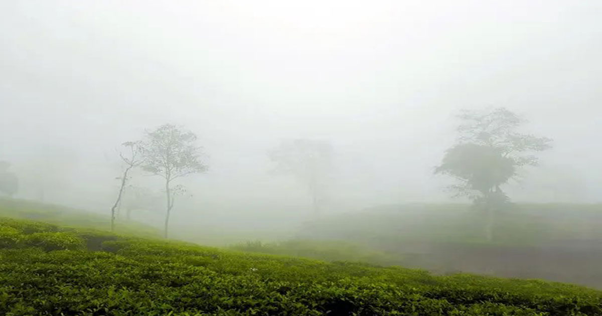 সর্বনিম্ন তাপমাত্রায় কাঁপছে মৌলভীবাজার
