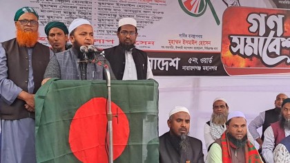 হাসিনার পতনে ভারত পাগল হয়ে গেছে: হোসাইন জাফরী