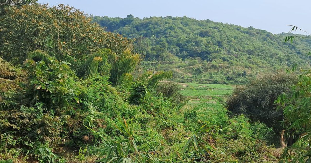 টেকনাফে ১৯ বনকর্মীকে অপহরণ 