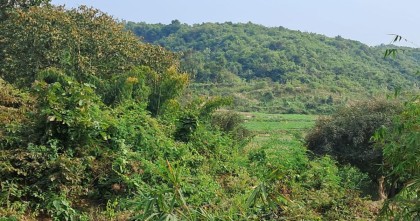 টেকনাফে ১৯ বনকর্মীকে অপহরণ 