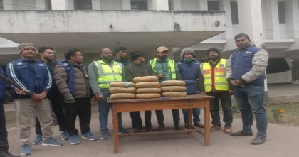 ভোলায় পুলিশের অভিযানে ১০ কেজি গাঁজা সহ যুবক আটক