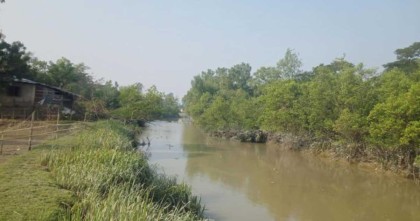 কক্সবাজারের পেকুয়ায় আড়াই হাজার একর জমির বোরো চাষ অনিশ্চিত