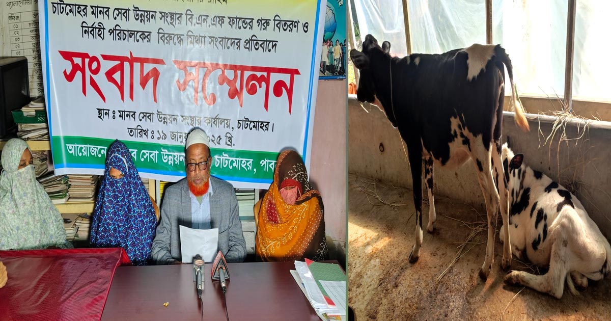 অবশেষে আলোচিত সেই এনজিও থেকে বাছুর বুঝে পেলেন দশ নারী