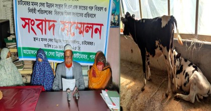 অবশেষে আলোচিত সেই এনজিও থেকে বাছুর বুঝে পেলেন দশ নারী