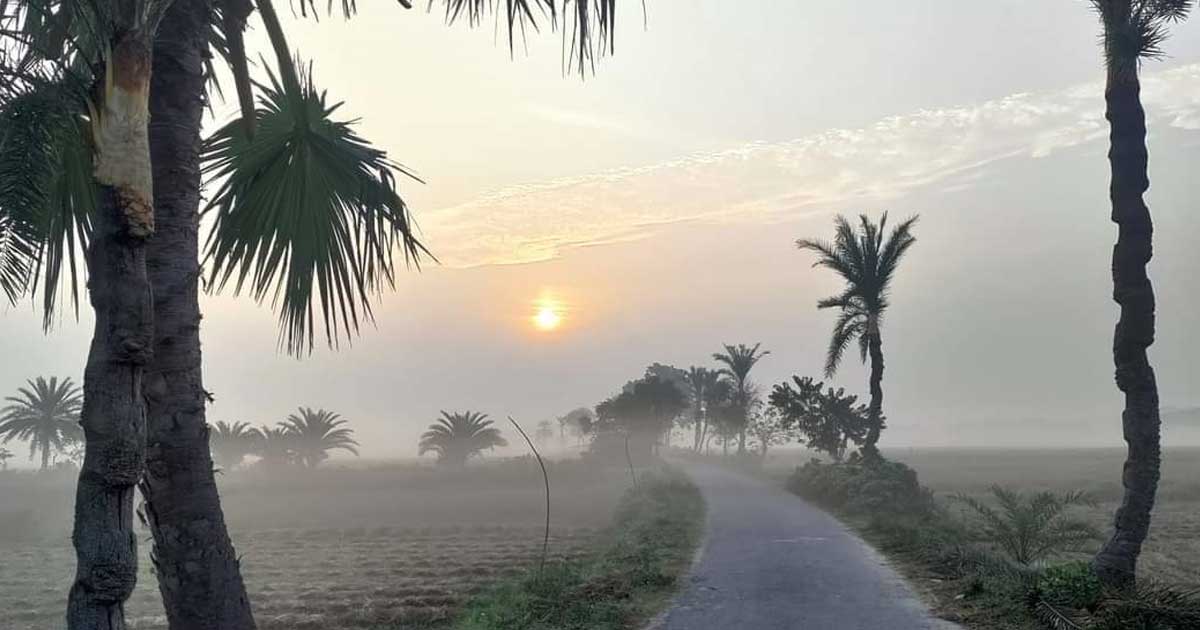 মৃদু শৈতপ্রবাহ বইছে চুয়াডাঙ্গায়