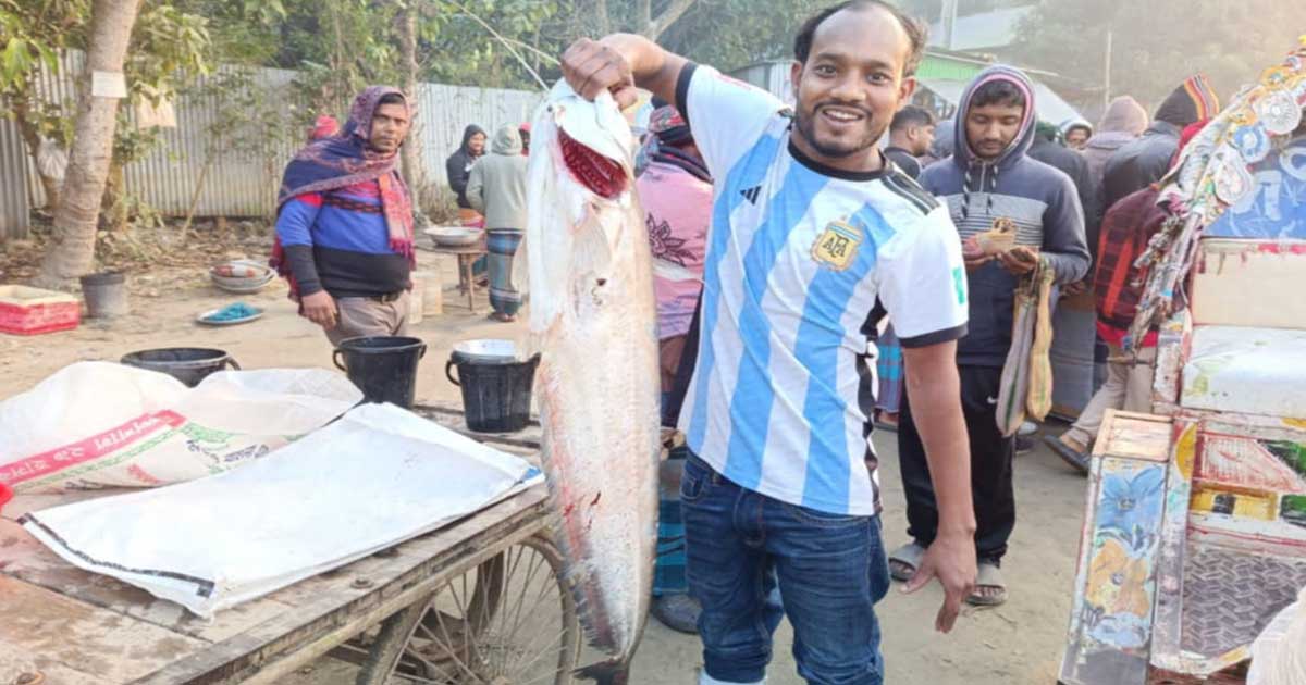 মানিকগঞ্জে পদ্মায় বরশিতে ধরা 
পড়লো ৯ কেজি ওজনের বোয়াল, ১২ হাজার টাকায় বিক্রি
