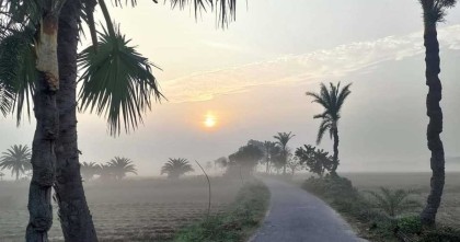 মৃদু শৈতপ্রবাহ বইছে চুয়াডাঙ্গায়