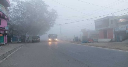 চুয়াডাঙ্গায় বৃষ্টির মতো ঝরছে কুয়াশা