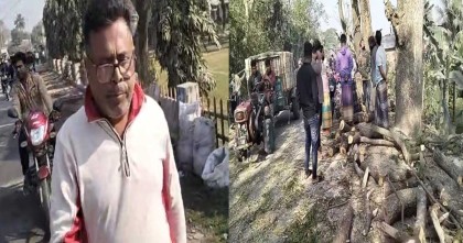 বিএনপি নেতার বিরুদ্ধে সড়কের গাছ বিক্রির অভিযোগ