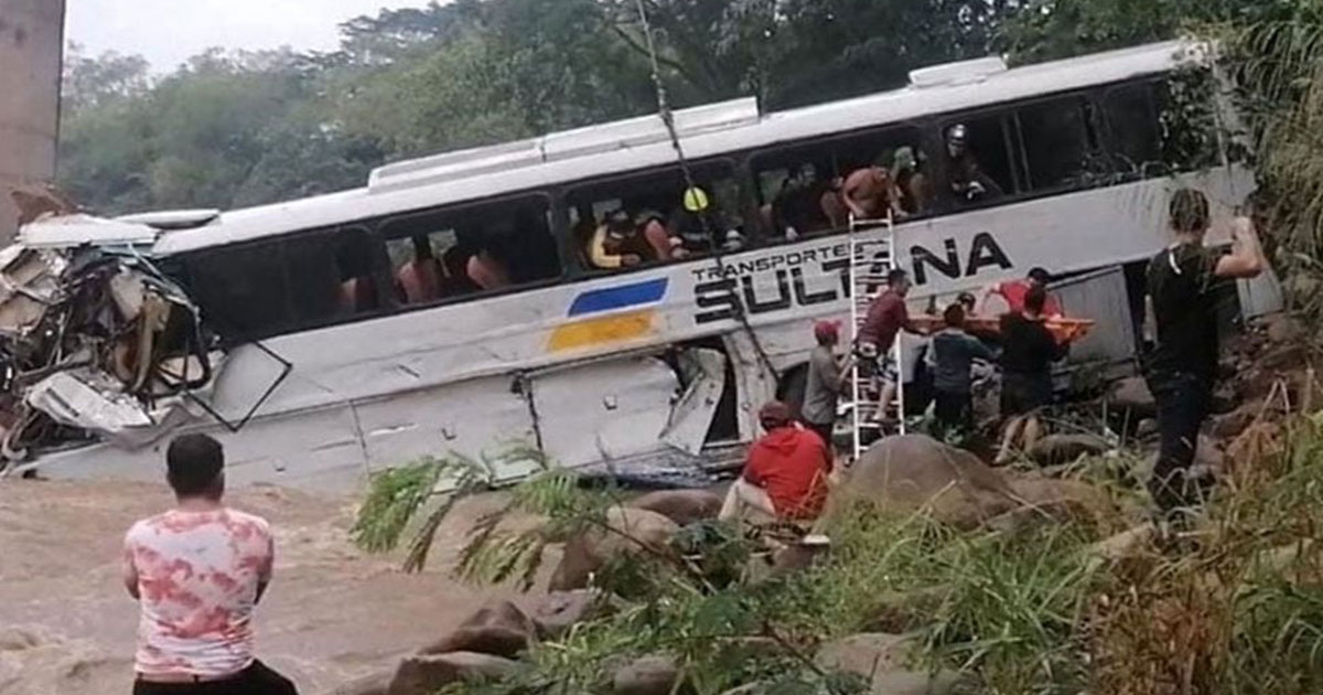 বাস-ট্রাকের সংঘর্ষে ব্রাজিলে বিশ্ববিদ্যালয়ের ১২ শিক্ষার্থী নিহত