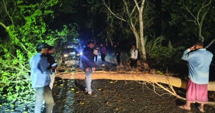 নওগাঁয় মধ্যরাতে সড়কে গাছ ফেলে ডাকাতি