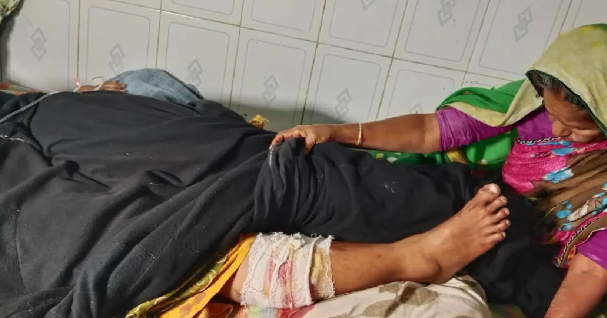 হঠাৎ শিয়াল আতংক, কামড়ে আহত ৫