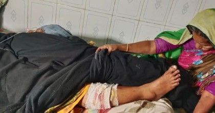 হঠাৎ শিয়াল আতংক, কামড়ে আহত ৫