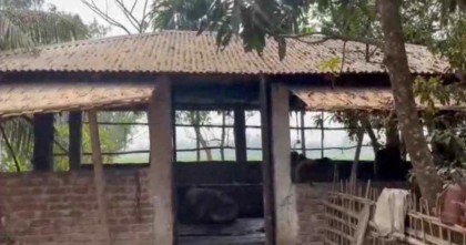 গুলি ছুঁড়ে ওসির বাড়িতে ডাকাতি