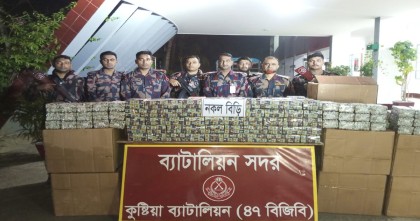 কুষ্টিয়ায় বিজিবির অভিযানে বিপুল পরিমান নকল বিড়ি জব্দ