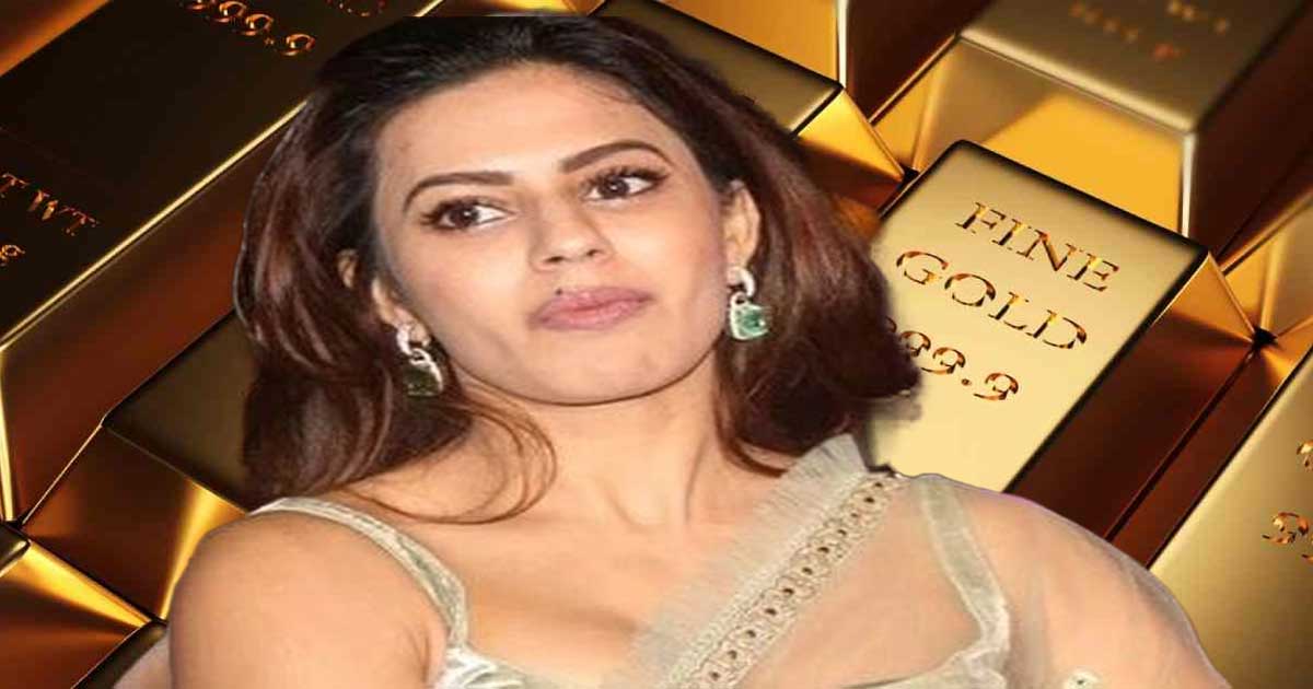 ইউটিউব দেখে সোনাপাচারের কৌশল শেখেন রানিয়া