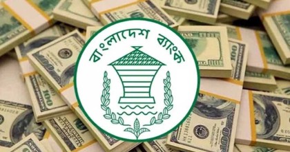 ঈদ ঘিরে রেমিট্যান্সে সুবাতাস, মার্চের ১৯ দিনে এলো ২২৫ কোটি ডলার