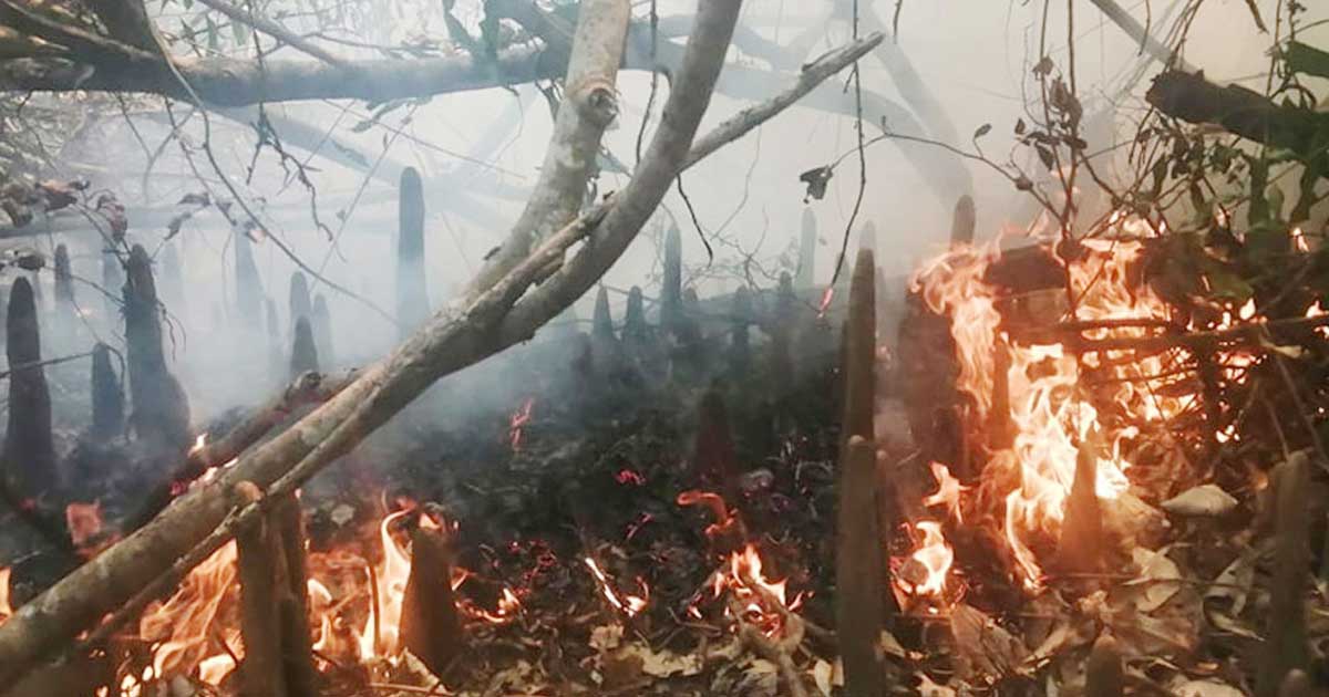 সুন্দরবনের কলমতেজীতে আগুন