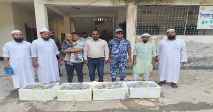 বরিশালে তিনশ' কেজি জাটকা জব্দ