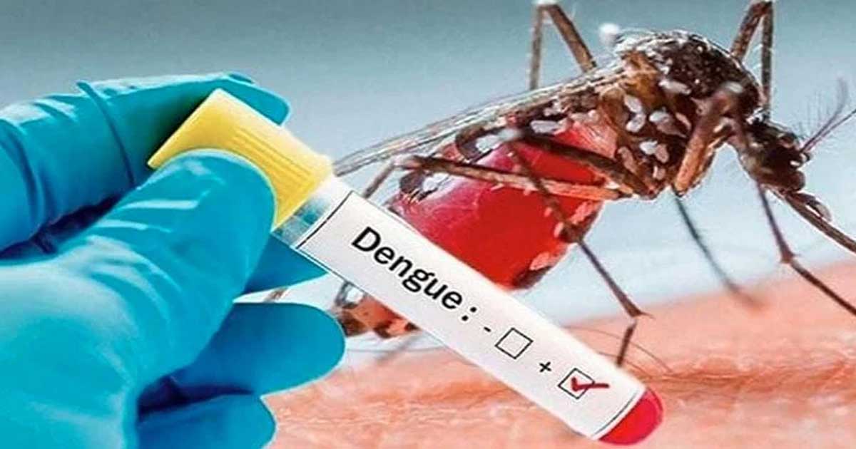 আরও ২৯ জন ডেঙ্গুতে আক্রান্ত হয়ে হাসপাতালে