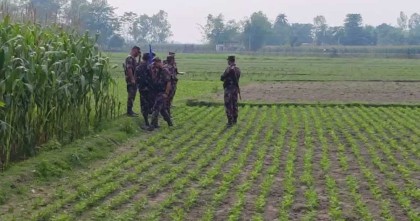 লালমনিরহাট থেকে বাংলাদেশী যুবককে ধরে নিয়ে গেছে বিএসএফ