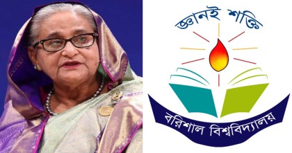 হাসিনাকে বাঁচাতে ববি শিক্ষকদের গোপন অনলাইন সভার ভিডিও ফাঁস