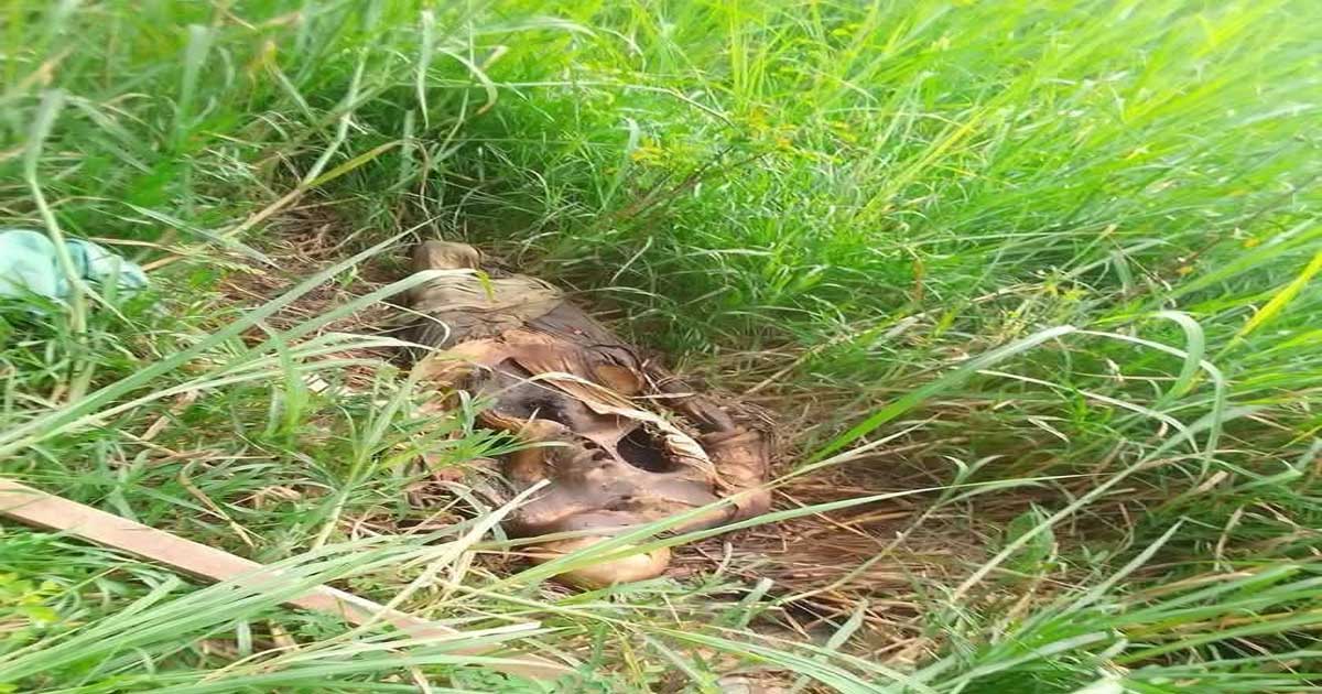নোয়াখালীতে অজ্ঞাত মহিলার কঙ্কাল উদ্ধার