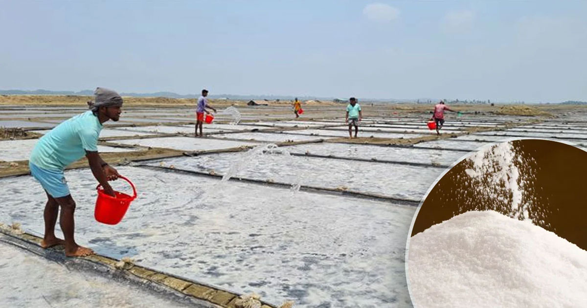 প্রতি কেজি লবনে কৃষক পায় চার টাকা, বাজারে দাম ৪০