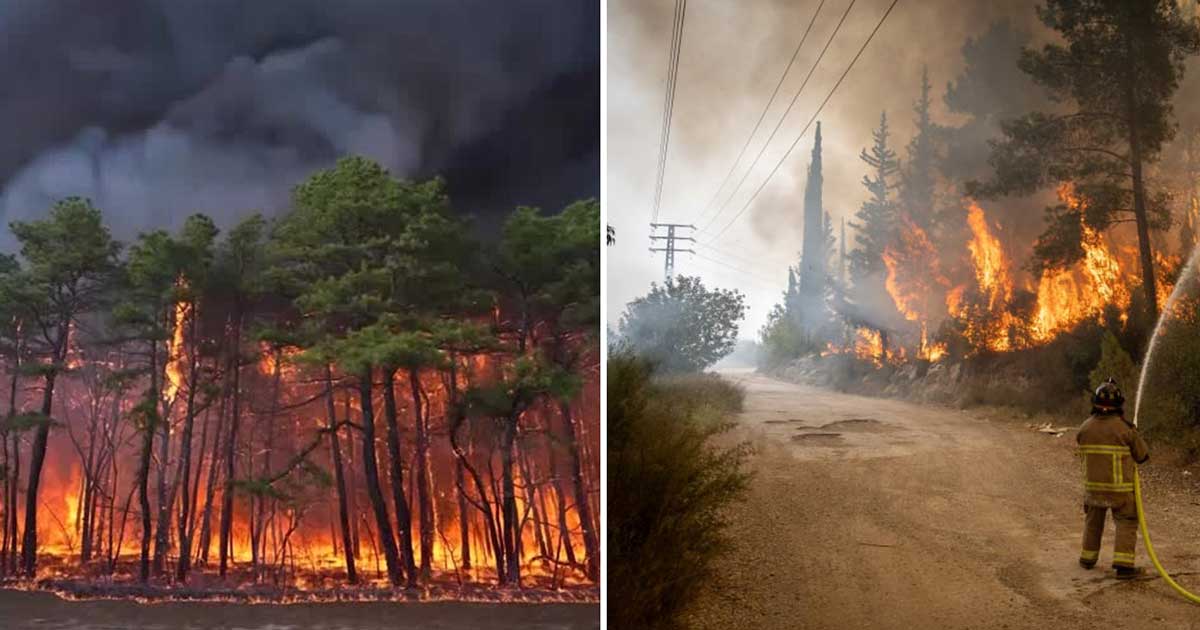 একসঙ্গে দাবানলের কবলে যুক্তরাষ্ট্র-ইসরাইল