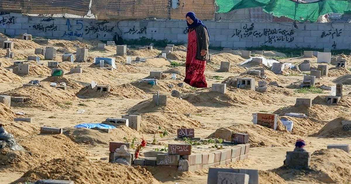 গাজায় ইসরায়েলের বিমান হামলায় একদিনে নিহত ৮৪