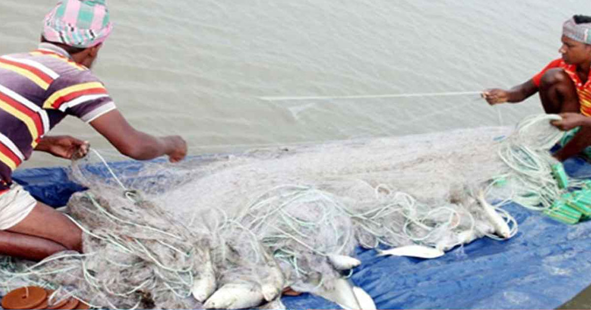 নিষেধাজ্ঞা শেষে ফের ইলিশ ধরা শুরু

