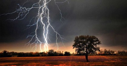শেরপুরে ধান কাটার সময় বজ্রপাতে কৃষকের মৃত্যু