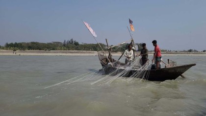 নিষেধাজ্ঞা শেষ হলেও আসেনি বরাদ্দের চাল, নদীতেও নেই ইলিশ