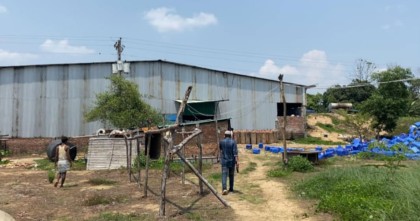 গরুর ফার্মের নামে গোপনে চলছে অবৈধ রাবার কারখানা