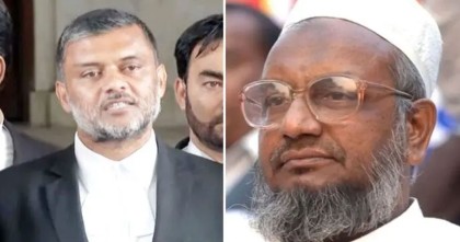 ‘কাদের মোল্লাকে সংক্ষিপ্ত রায়ে ফাঁসি দেওয়া হয়’