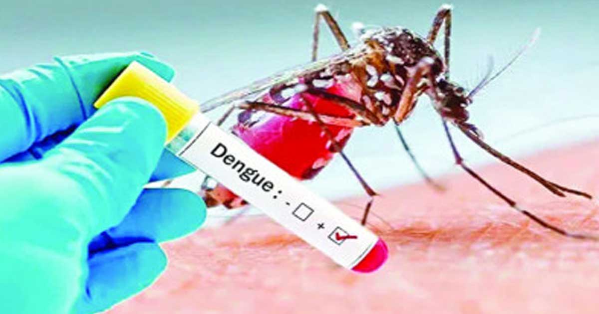 ২৪ ঘণ্টায় ডেঙ্গুতে একজনের মৃত্যু
