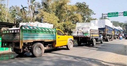 ভারতে মাছ রফতানি বন্ধ রাখলেন বাংলাদেশি ব্যবসায়ীরা