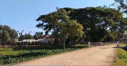 সীমান্তে বিএসএফের গুলিতে ১ বাংলাদেশি নিহত

