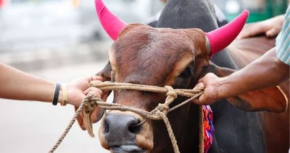 হালাল প্রাণীর যেসব অঙ্গ খাওয়া অপছন্দ করতেন মহানবী (সা.)